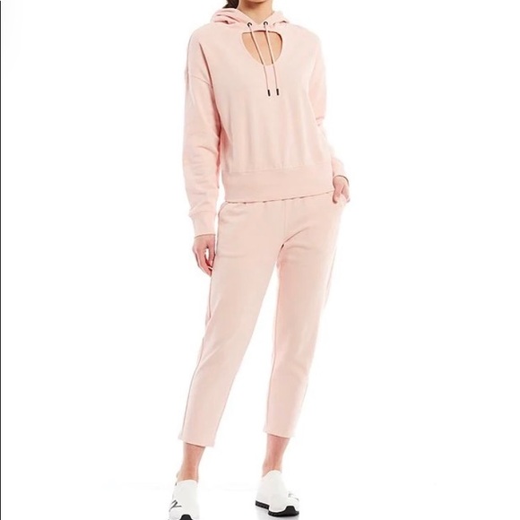 DKNY French Terry Cut Out Crop Hoodie in light pink. NWT - Picture 2 of 3